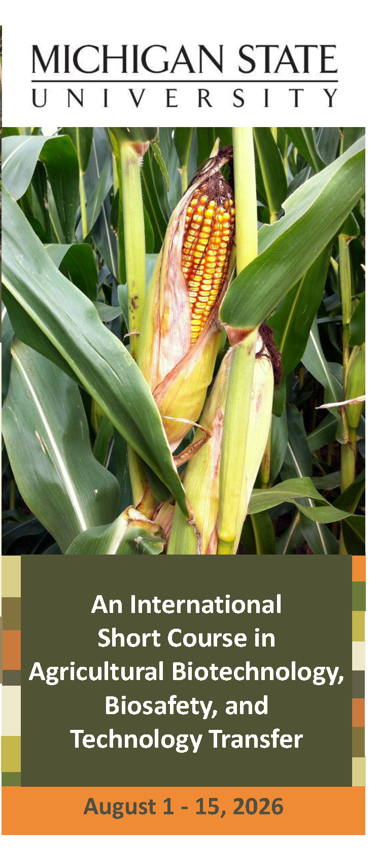 ABB Brochure 2026 Cover.png